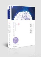 小说《星星上的花》经典语录文案和名句摘抄