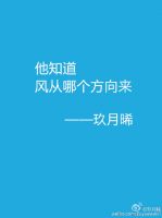 小说《他知道风从哪个方向来》经典语录文案和名句摘抄