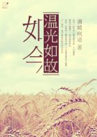 小说《如今温光如故》经典语录文案和名句摘抄