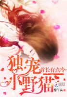 小说《首长有点冷：独宠小野猫》经典语录文案和名句摘抄