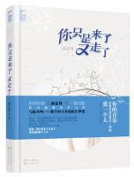 小说《你只是来了又走了》经典语录文案和名句摘抄