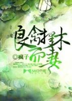 小说《良禽择木而妻》经典语录文案和名句摘抄