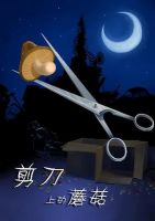 小说《剪刀上的蘑菇》经典语录文案和名句摘抄