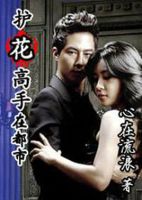 小说《护花高手在都市》经典语录文案和名句摘抄