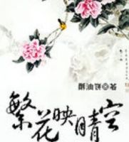 小说《繁花映晴空》经典语录文案和名句摘抄
