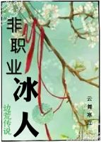 小说《非职业冰人》经典语录文案和名句摘抄