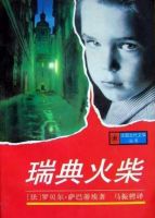 小说《瑞典火柴》经典语录文案和名句摘抄