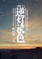 小说《[网王]逆灯染色》经典语录文案和名句摘抄