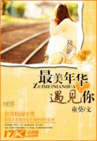 小说《最美年华遇见你》经典语录文案和名句摘抄