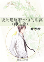 小说《彼此追逐着永恒的距离》经典语录文案和名句摘抄