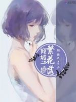 小说《倾城一发内的繁花落》经典语录文案和名句摘抄