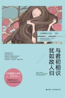 小说《与君初相识，犹如故人归》经典语录文案和名句摘抄