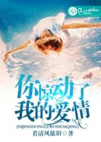 小说《你惊动了我的爱情》经典语录文案和名句摘抄