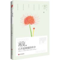 小说《再见，已不是我要的年少》经典语录文案和名句摘抄