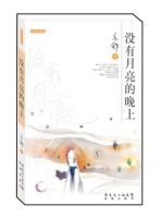 小说《没有月亮的晚上》经典语录文案和名句摘抄