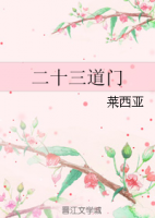 小说《二十三道门》经典语录文案和名句摘抄