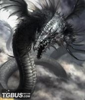 小说《神虽寿》经典语录文案和名句摘抄