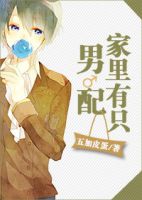 小说《家国物有只男配》经典语录文案和名句摘抄