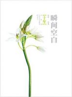 小说《瞬间空白》经典语录文案和名句摘抄