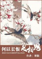 小说《何以长恨复相思》经典语录文案和名句摘抄