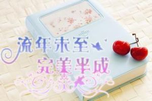 小说《流年未至完美半成》经典语录文案和名句摘抄