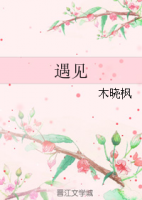 小说《遇见(木晓枫小说)》经典语录文案和名句摘抄