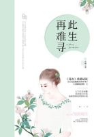 小说《此生再难寻》经典语录文案和名句摘抄