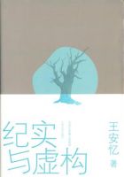 小说《纪还个与虚构》经典语录文案和名句摘抄