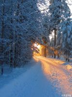 小说《归路》经典语录文案和名句摘抄