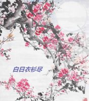 小说《白日衣衫尽》经典语录文案和名句摘抄