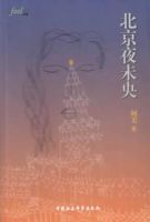 小说《北京夜未央》经典语录文案和名句摘抄