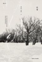 小说《沉雪》经典语录文案和名句摘抄