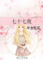 小说《七起们七夜》经典语录文案和名句摘抄