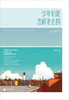 小说《少年们是怎样老去的》经典语录文案和名句摘抄