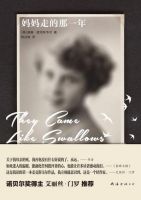 小说《妈妈走的那一年》经典语录文案和名句摘抄