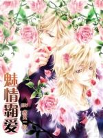 小说《魅情霸爱》经典语录文案和名句摘抄