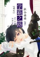 小说《重生学霸之路》经典语录文案和名句摘抄