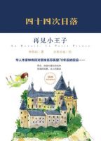 小说《四十四次日落》经典语录文案和名句摘抄