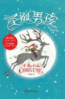 小说《圣诞男孩》经典语录文案和名句摘抄