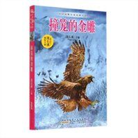 小说《撞笼的金雕》经典语录文案和名句摘抄