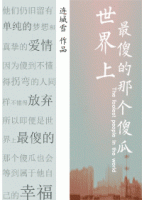 小说《世界上最傻的那个傻瓜》经典语录文案和名句摘抄