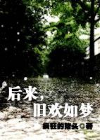 小说《后来，旧欢如梦》经典语录文案和名句摘抄