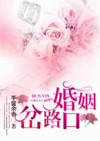 小说《婚姻岔路口》经典语录文案和名句摘抄