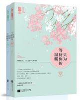 小说《只为等待你的温暖》经典语录文案和名句摘抄