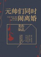 小说《元帅们同时闹离婚》经典语录文案和名句摘抄