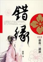 小说《错缘》经典语录文案和名句摘抄