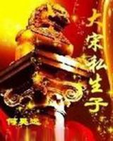 小说《大宋私生子》经典语录文案和名句摘抄