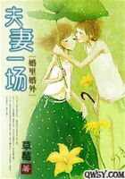 小说《夫妻一场》经典语录文案和名句摘抄