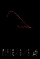 小说《你见过央金的翅膀吗》经典语录文案和名句摘抄