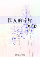 小说《阳光的碎片》经典语录文案和名句摘抄